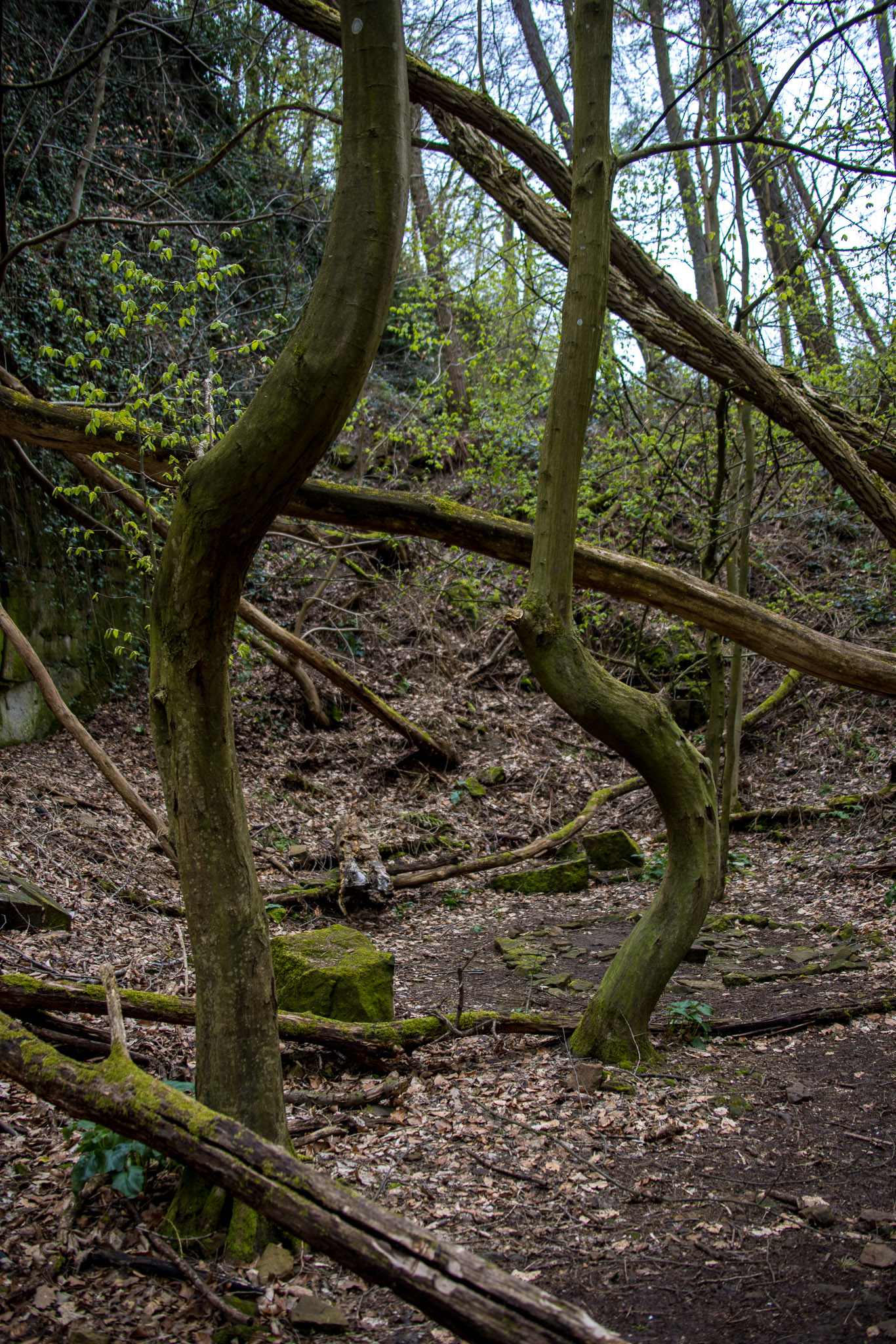 20220410111921 R5D 1952